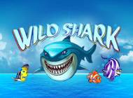 Игровой автомат Wild Shark: окунись в морскую пучину с акулами